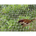 Plastic Anti Bird Net (DSY-NW)
